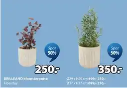JYSK BRILLEAND blomsterpotte tilbud