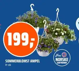 Coop Obs Sommerblomst ampel tilbud