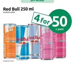 Joker Red Bull 250 ml tilbud