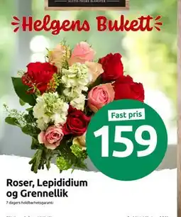 Joker Roser, Lepididium og Grennellik tilbud