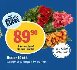 Coop Obs Roser, Medlemspris tilbud
