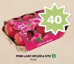 Matkroken PINK LADY EPLER 6 STK tilbud