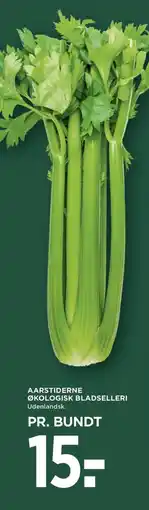 Meny Aarstiderne økologisk bladselleri udenlandsk. tilbud