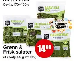 Spar Grønn & Frisk salater tilbud