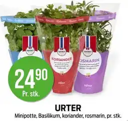 Kiwi URTER tilbud