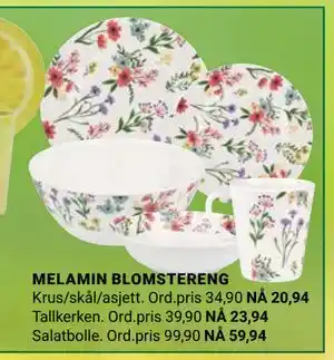 Europris MELAMIN BLOMSTERENG tilbud