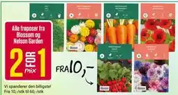 Europris Alle frøposer fra Blossom og Nelson Garden tilbud