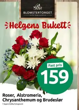 Joker Roser, Alstromeria, Chrysanthemum og Brudeslør tilbud
