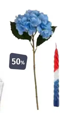 Nille Blå hortensia tilbud