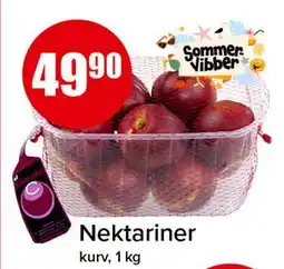 Spar Nektariner tilbud