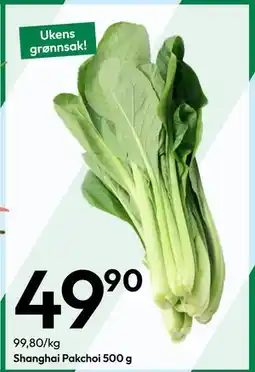 Gigaboks Shanghai Pakchoi 500 g tilbud