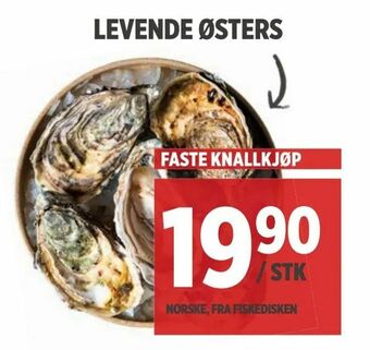 Meny Levende østers tilbud