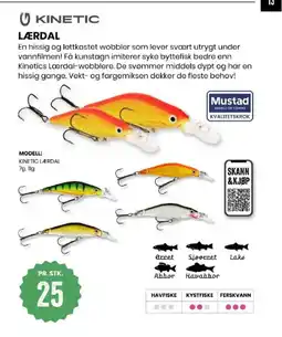Sport Outlet Lærdal tilbud