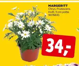 jem & fix MARGERITT tilbud