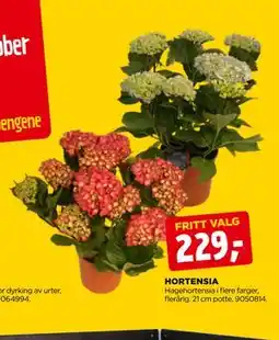 jem & fix HORTENSIA tilbud