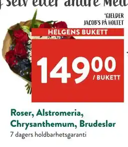 Jacobs Roser, Alstromeria, Chrysanthemum, Brudeslør tilbud