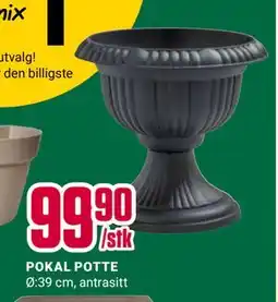 Europris POKAL POTTE tilbud