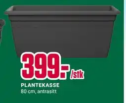 Europris PLANTEKASSE tilbud