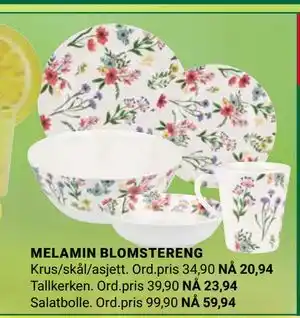 Europris MELAMIN BLOMSTERENG tilbud