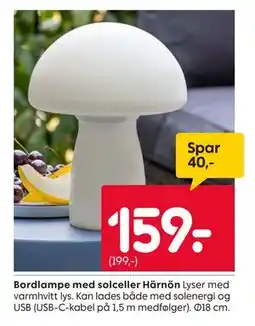 Rusta Bordlampe med solceller Härnön tilbud