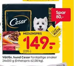 Rusta Våtfôr, hund Cesar, Medlemspris tilbud