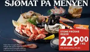 STORE FROSNE REKER