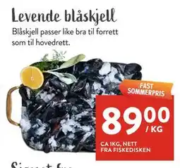 Jacobs Levende blåskjell tilbud