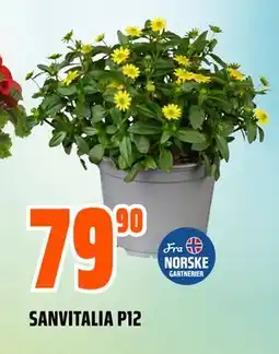 Obs Bygg SANVITALIA P12 tilbud