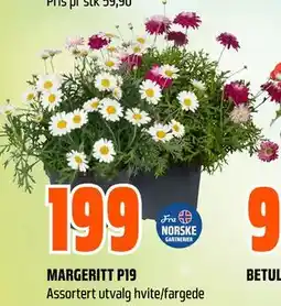 Obs Bygg MARGERITT P19 tilbud