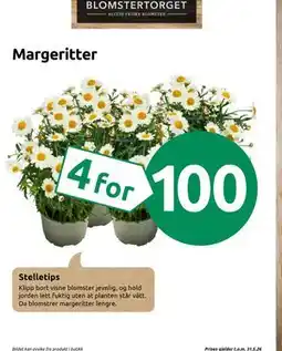 Joker Stelletips tilbud
