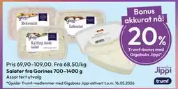 Gigaboks Salater fra Gorines 700–1400 g tilbud