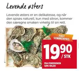 Meny Levende østers tilbud
