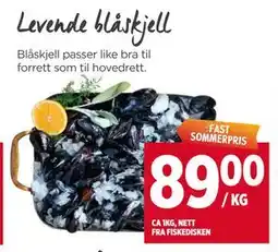 Meny Levende blåskjell tilbud