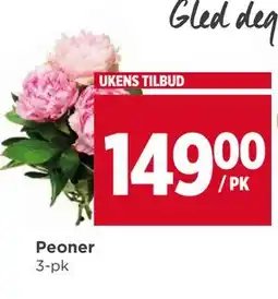 Meny Peoner tilbud