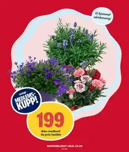 Matkroken SOMMERBLOMST I SKÅL 23 CM, Medlemspris tilbud