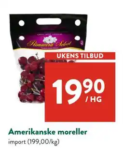 Jacobs Amerikanske moreller tilbud