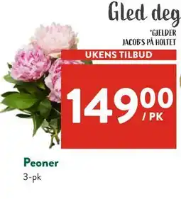 Jacobs Peoner tilbud