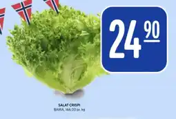 Rema 1000 Salat crispi tilbud