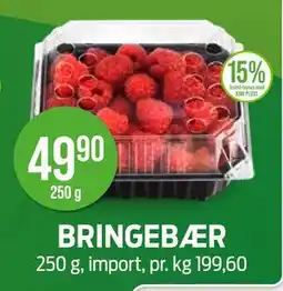 Kiwi BRINGEBÆR tilbud