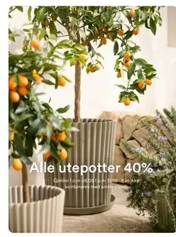 Kid Interiør Alle utepotter 40% tilbud