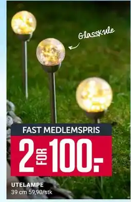 Europris UTELAMPE, Medlemspris tilbud