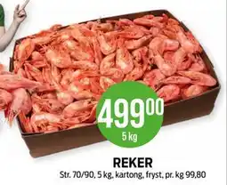 Kiwi REKER tilbud