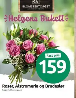 Joker Roser, Alstromeria og Brudeslør tilbud