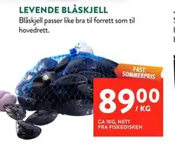 Jacobs LEVENDE BLÅSKJELL tilbud