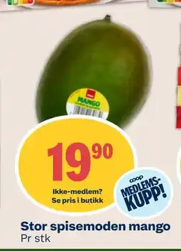 Coop Mega Stor spisemoden mango, Medlemspris tilbud