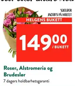 Jacobs Roser, Alstromeria og Brudeslør tilbud