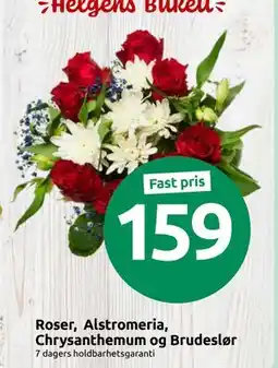 Joker Roser, Alstromeria, Chrysanthemum og Brudeslør tilbud