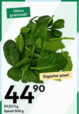 Gigaboks Spinat 500 g tilbud