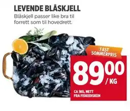 Meny LEVENDE BLÅSKJELL tilbud