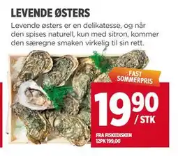 Meny LEVENDE ØSTERS tilbud